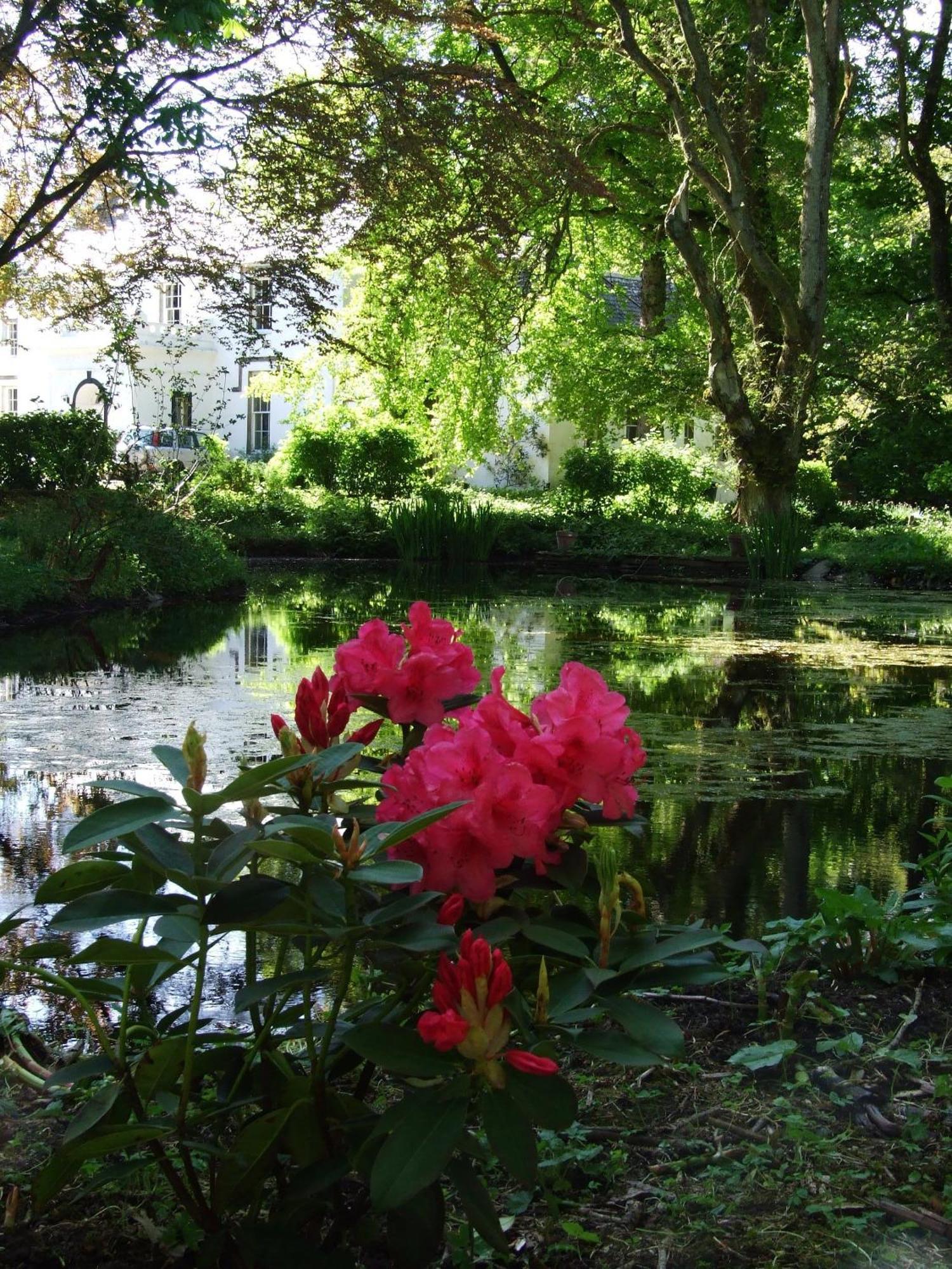 Thrumster House Wick  Εξωτερικό φωτογραφία